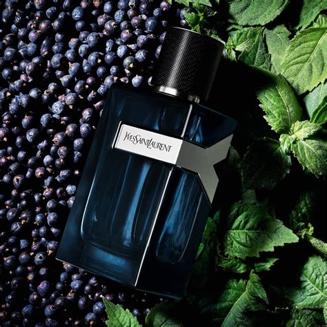 intense yves saint laurent|yves Saint Laurent l'intense.